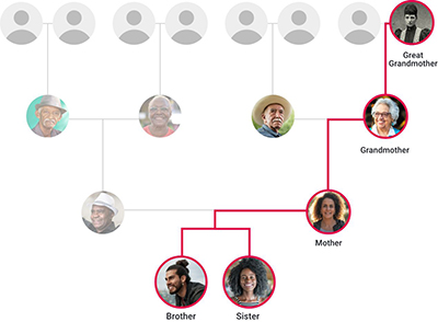 mtDNA flowchart